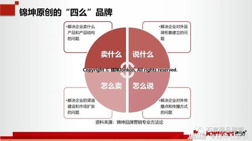 科技行業(yè)第一品牌的頂層設(shè)計(jì)與底層運(yùn)營(yíng) 互聯(lián)網(wǎng)銷(xiāo)售的制勝之道